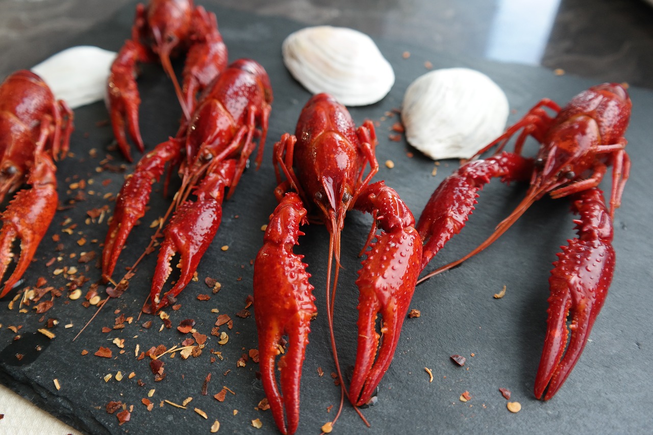 boiled crayfish  eat  food free photo