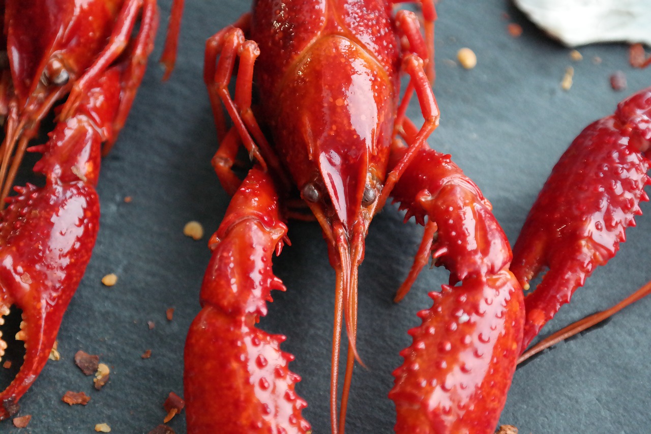 boiled crayfish  eat  food free photo