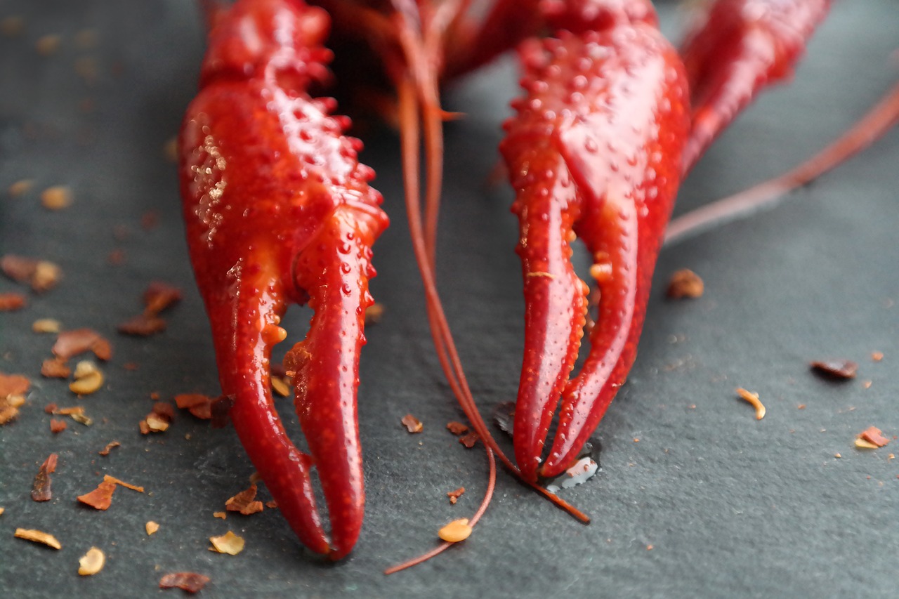 boiled crayfish  eat  food free photo