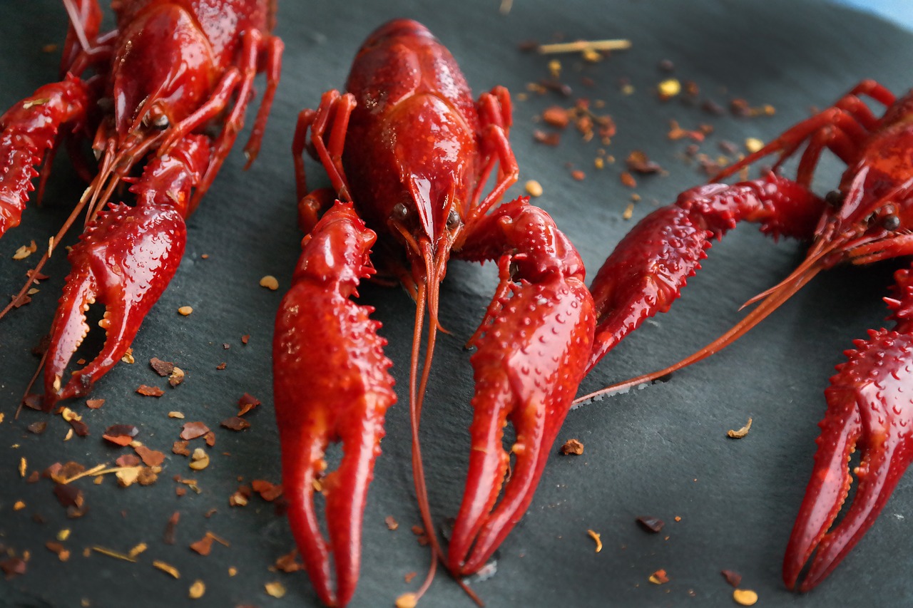 boiled crayfish  eat  food free photo