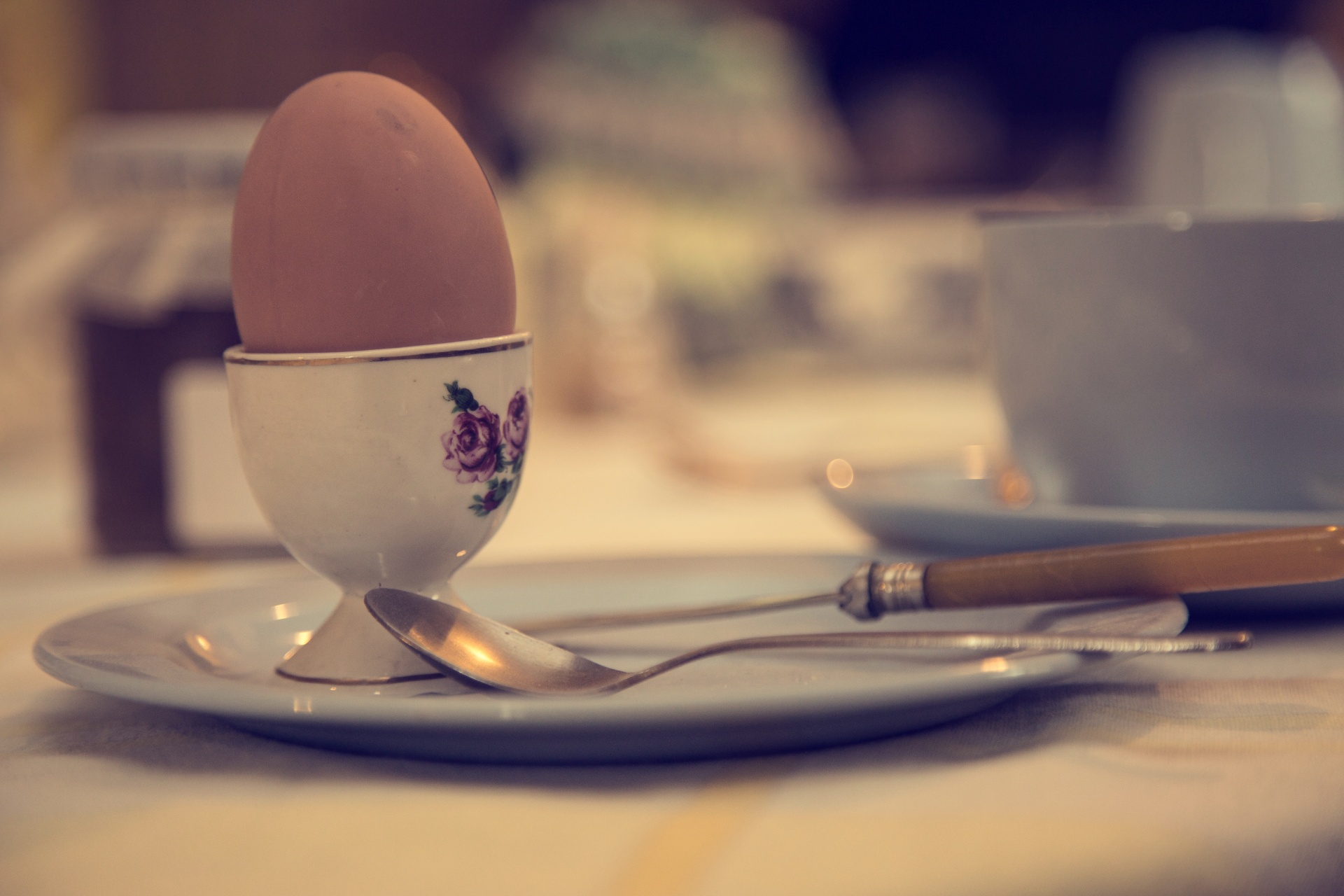 egg breakfast toast free photo