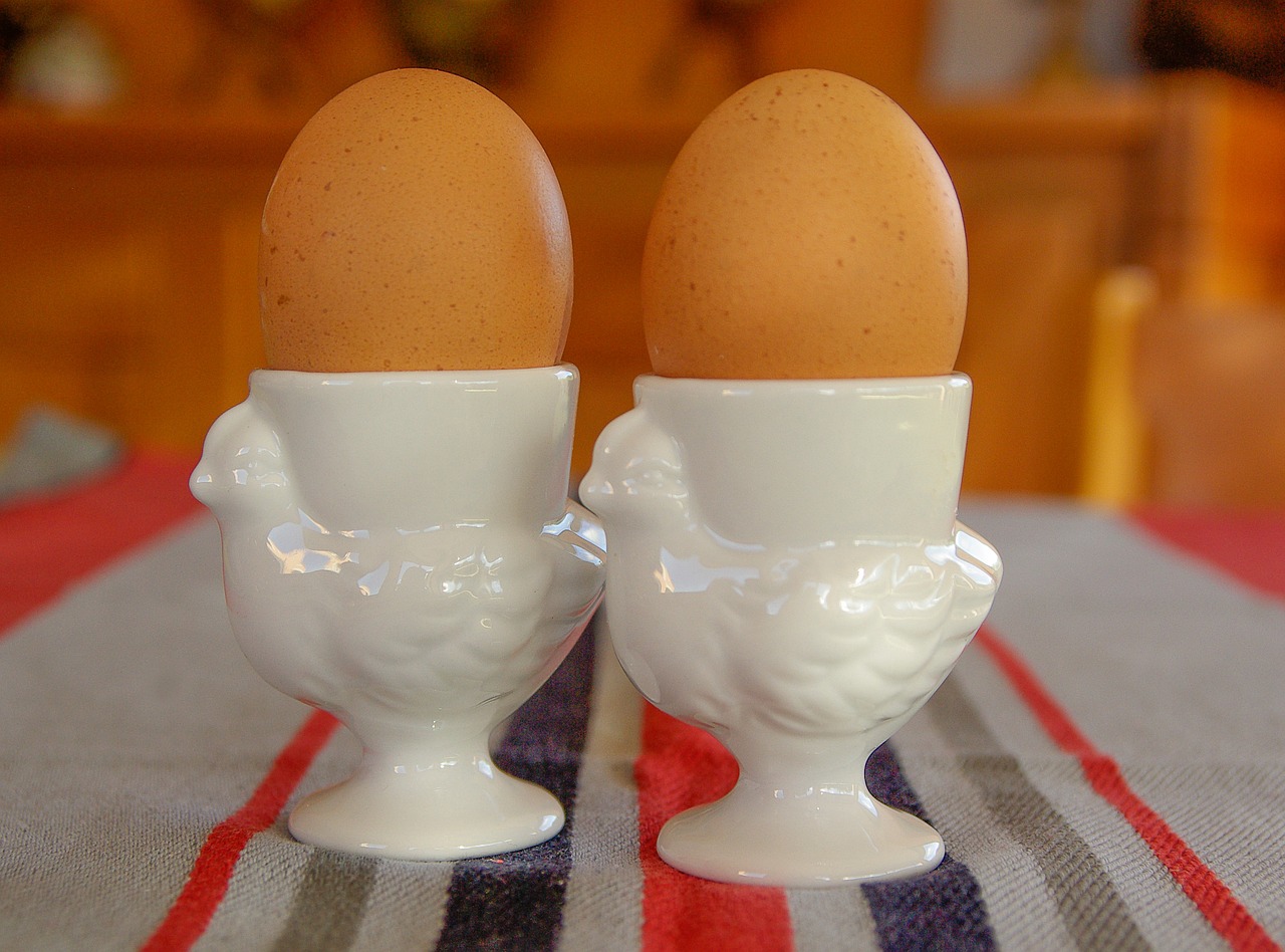 boiled eggs eggs egg cups free photo