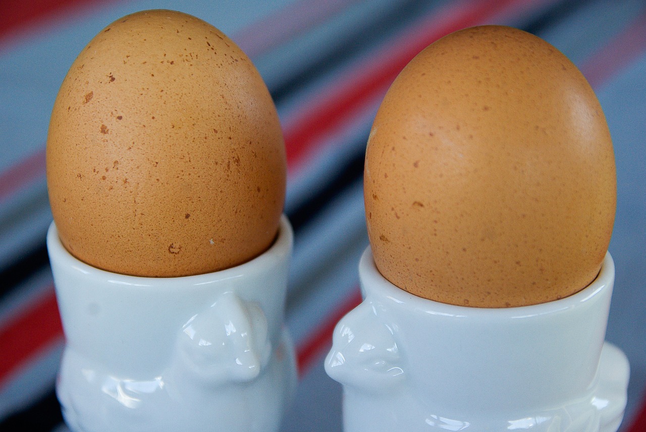 boiled eggs eggs egg cups free photo