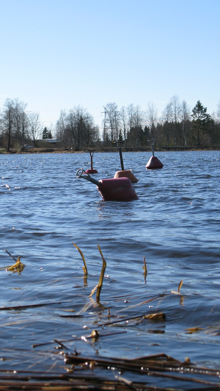 boje water lake free photo