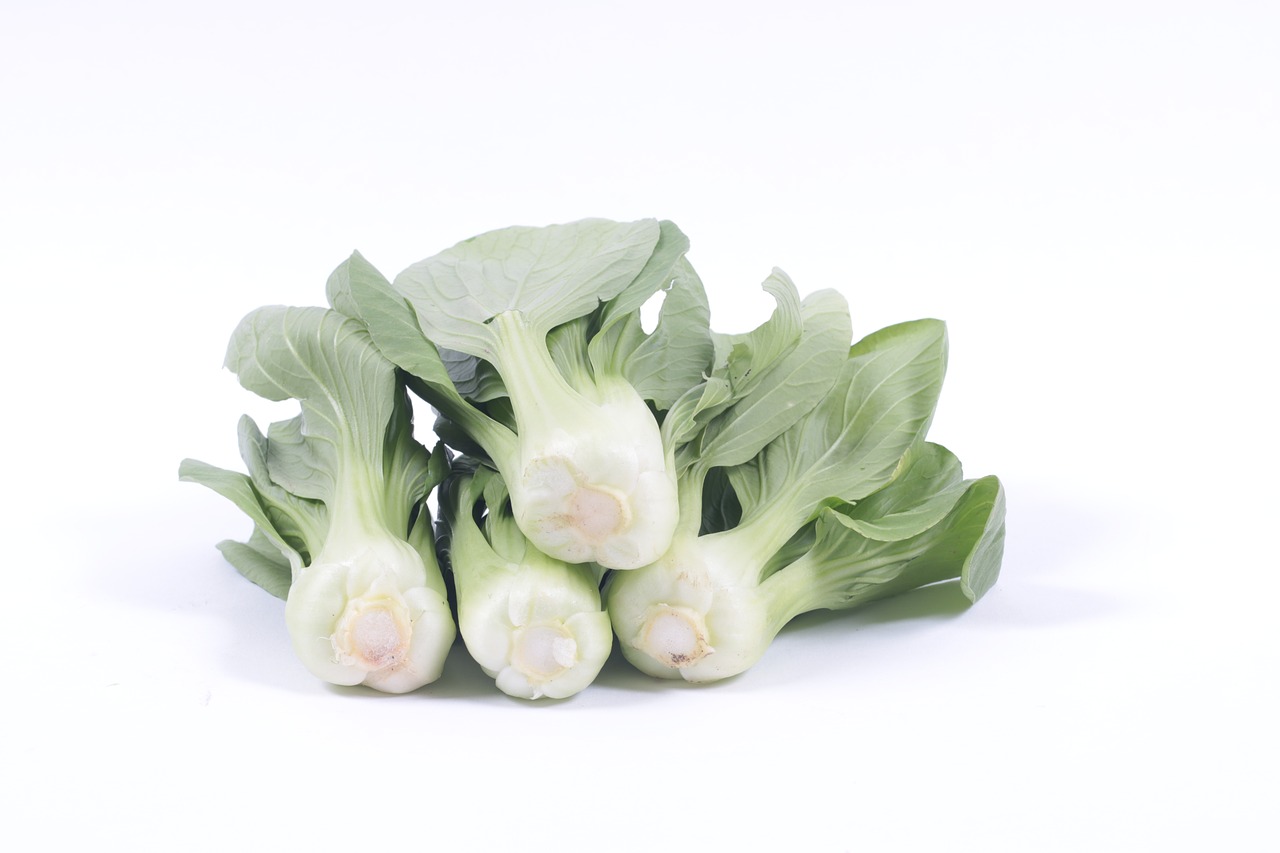 bok choy vegetable well-being free photo