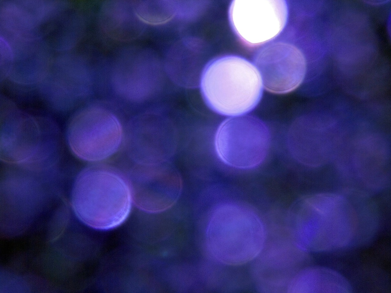 bokeh background purple free photo