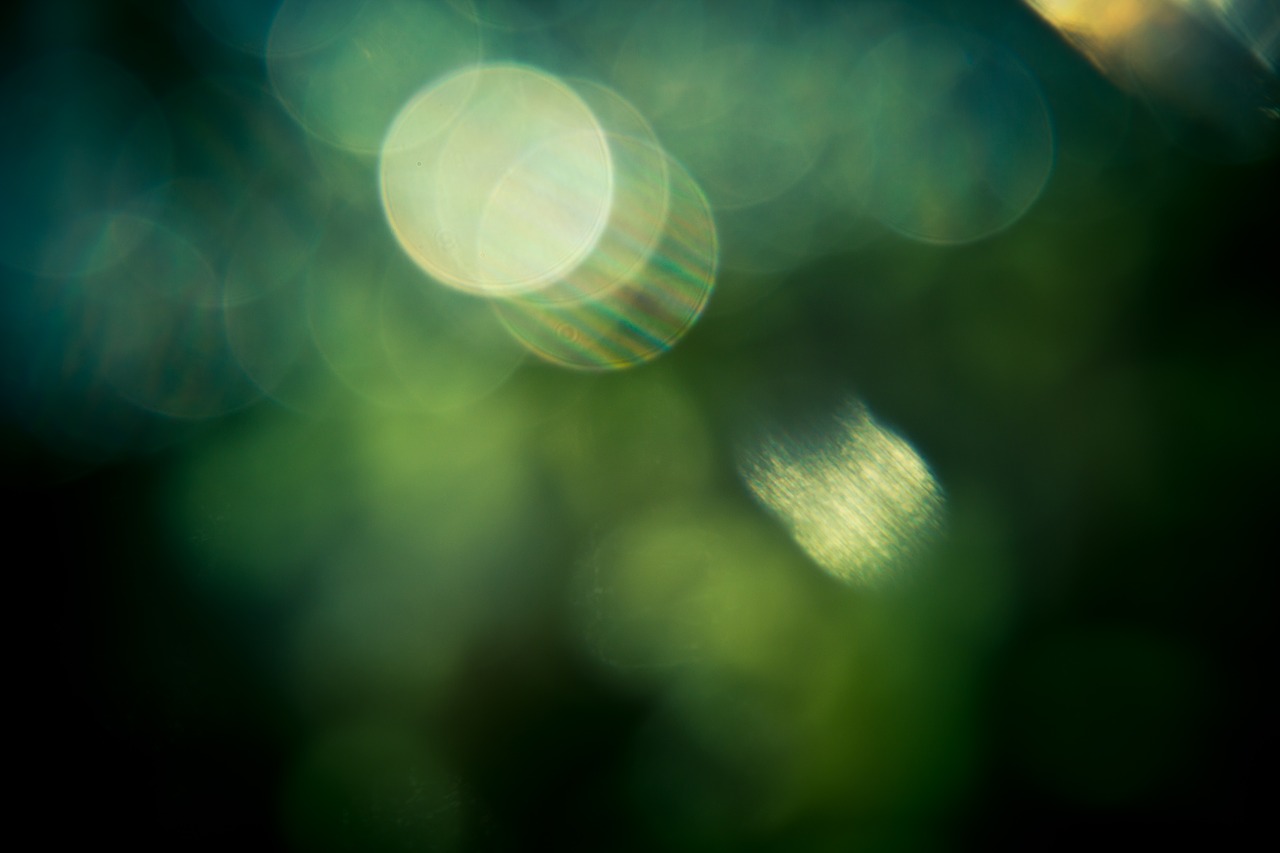 bokeh effect green free photo