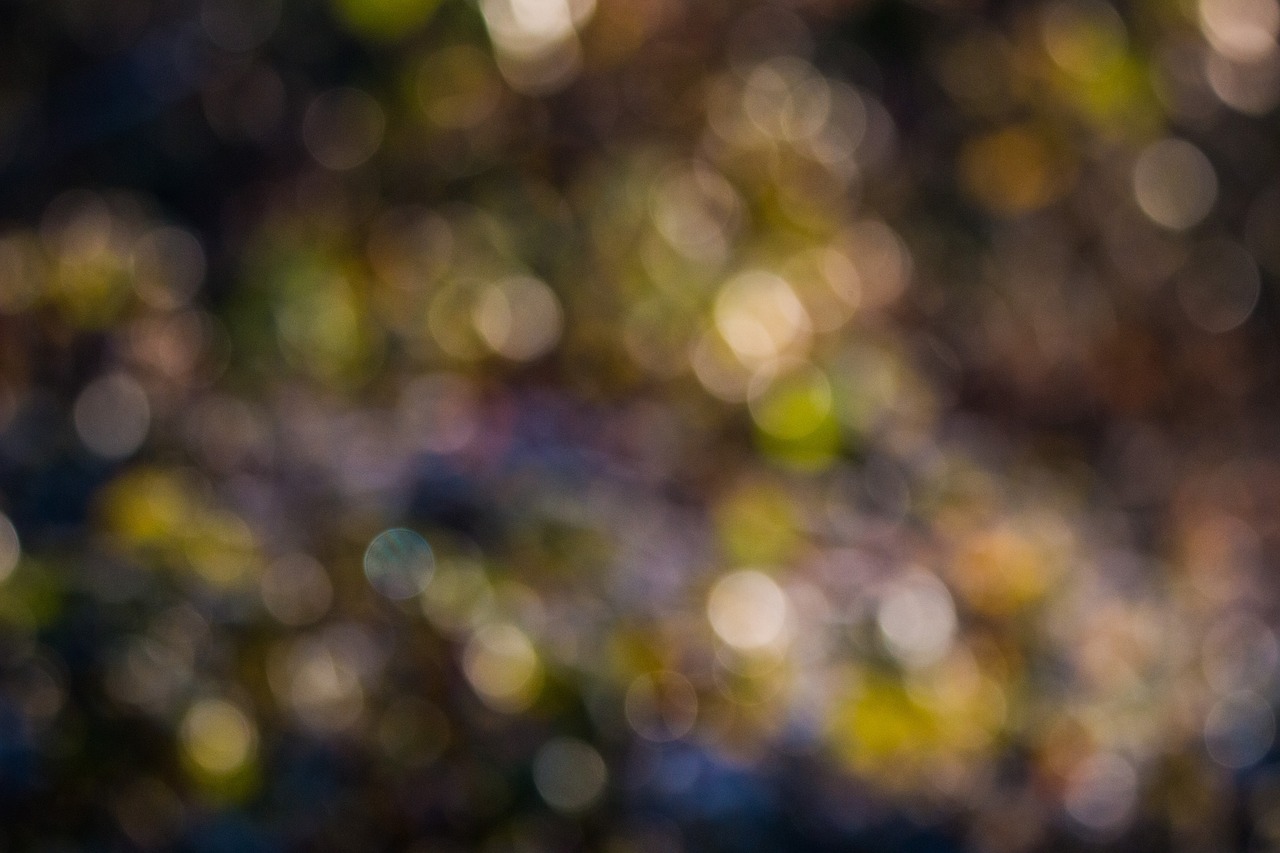 bokeh background circle free photo