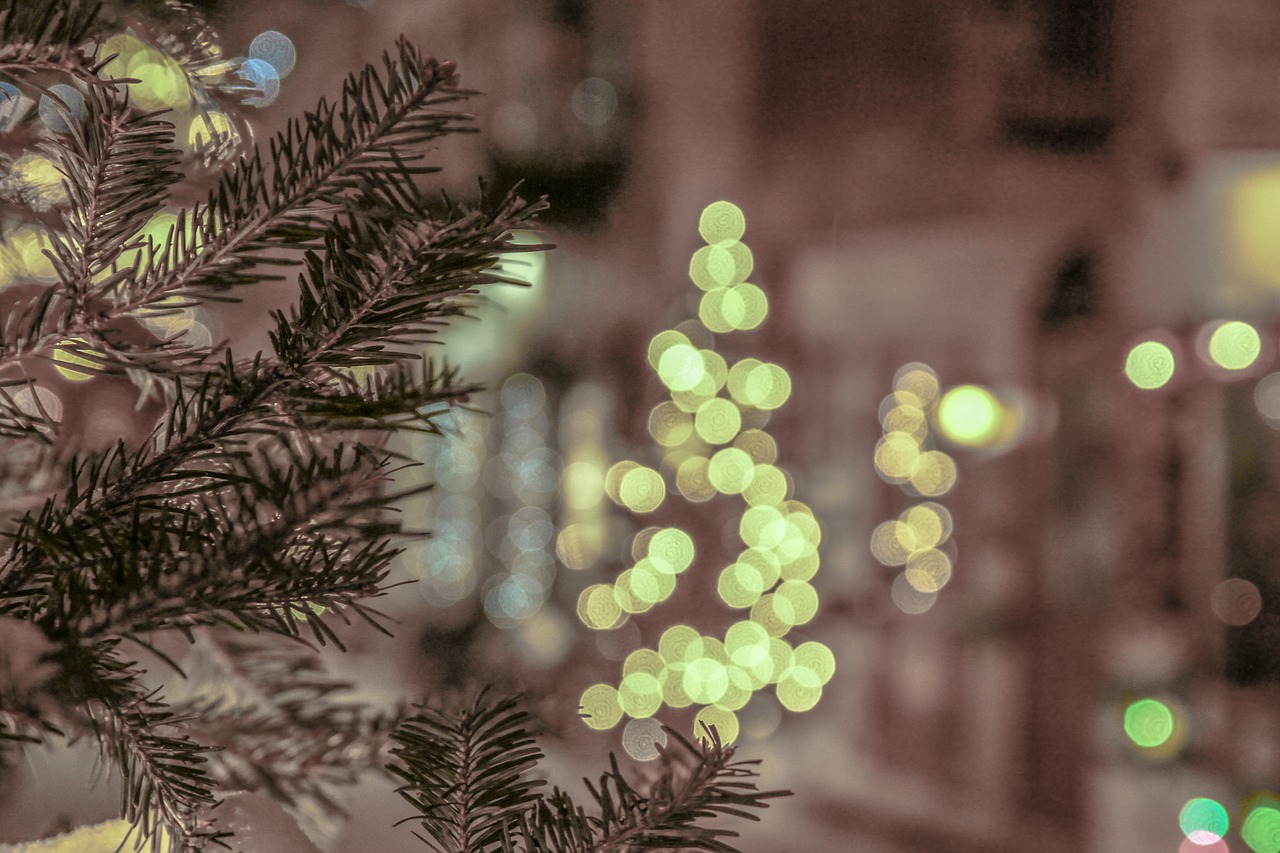 bokeh winter christmas tree free photo