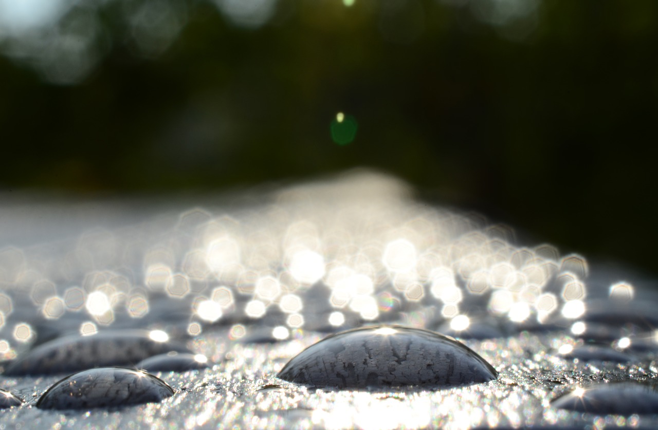 bokeh water drops macro free photo