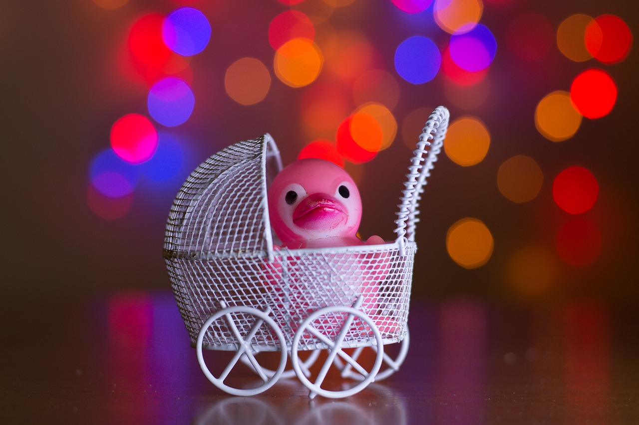 bokeh  duck  colorful free photo