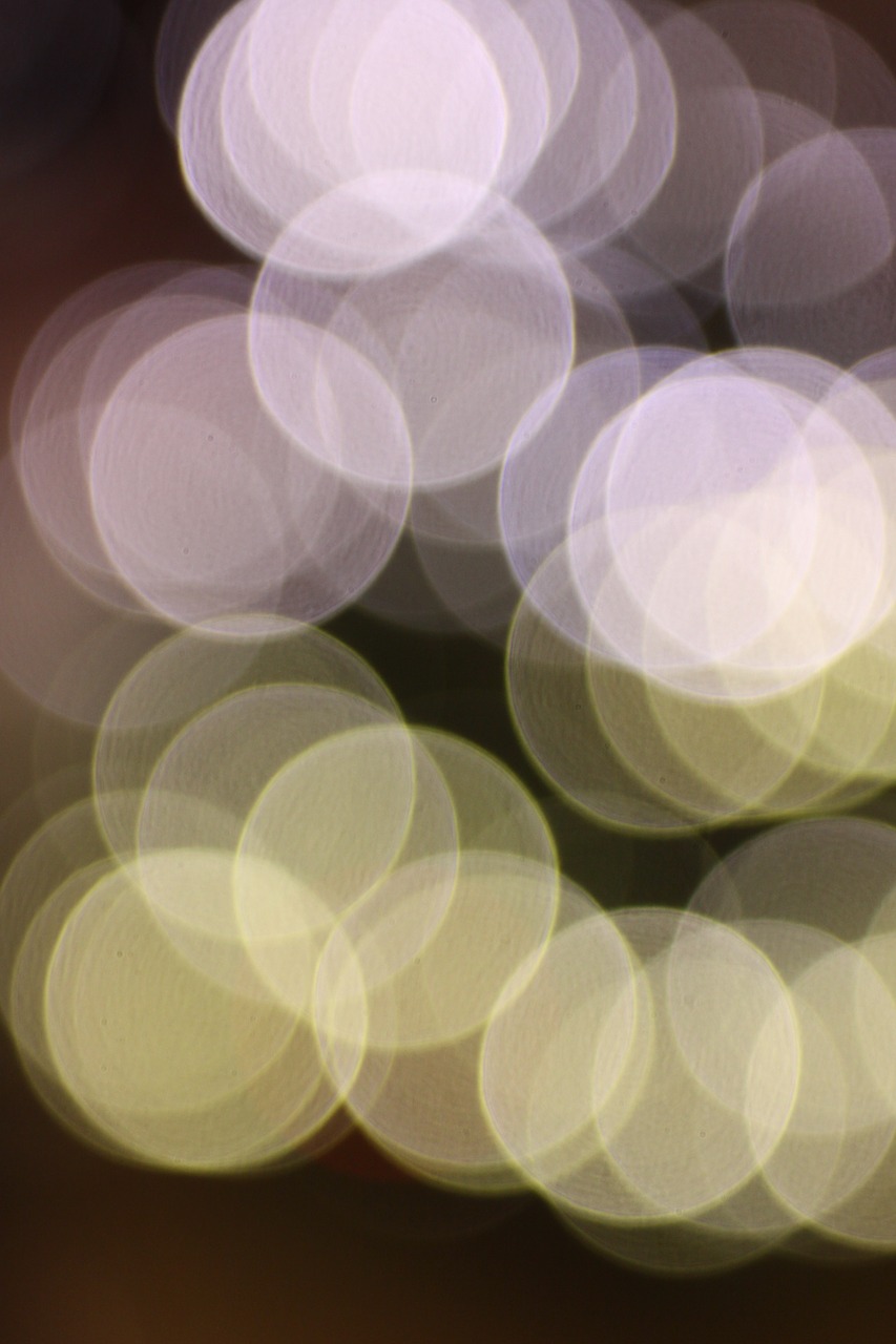 bokeh lens out of focus free photo