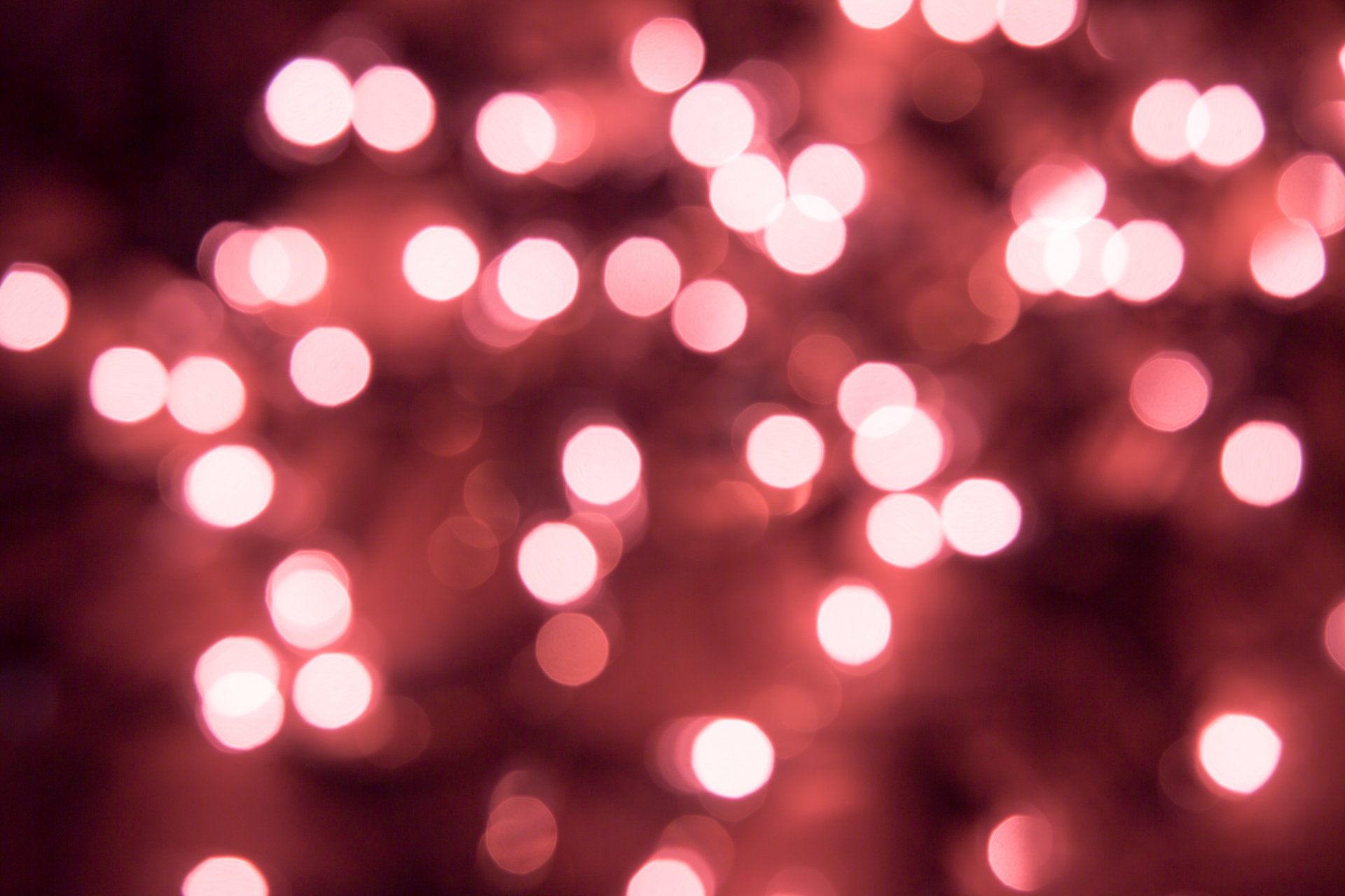 bokeh background red free photo