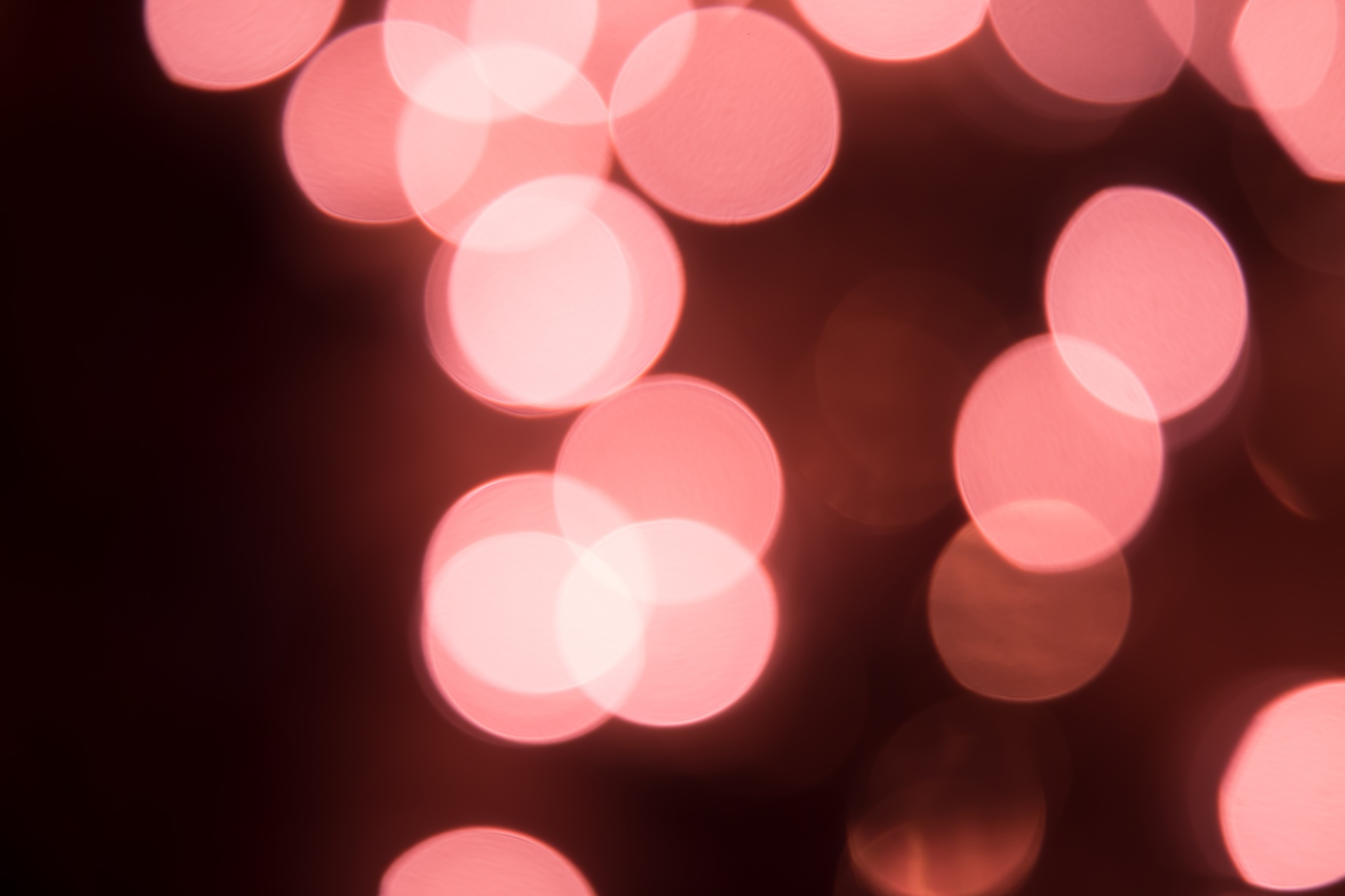 bokeh background red free photo