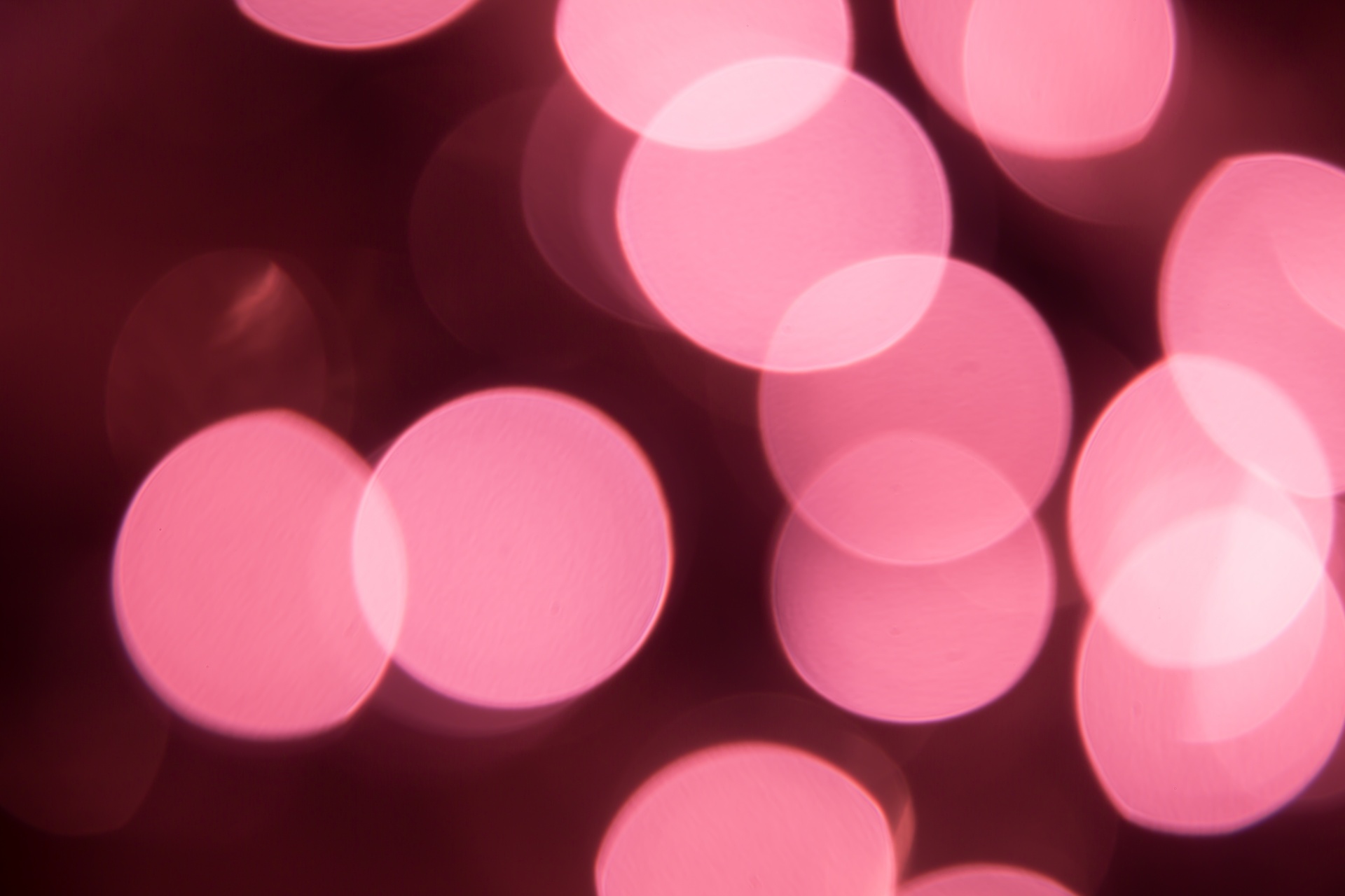 bokeh background red free photo