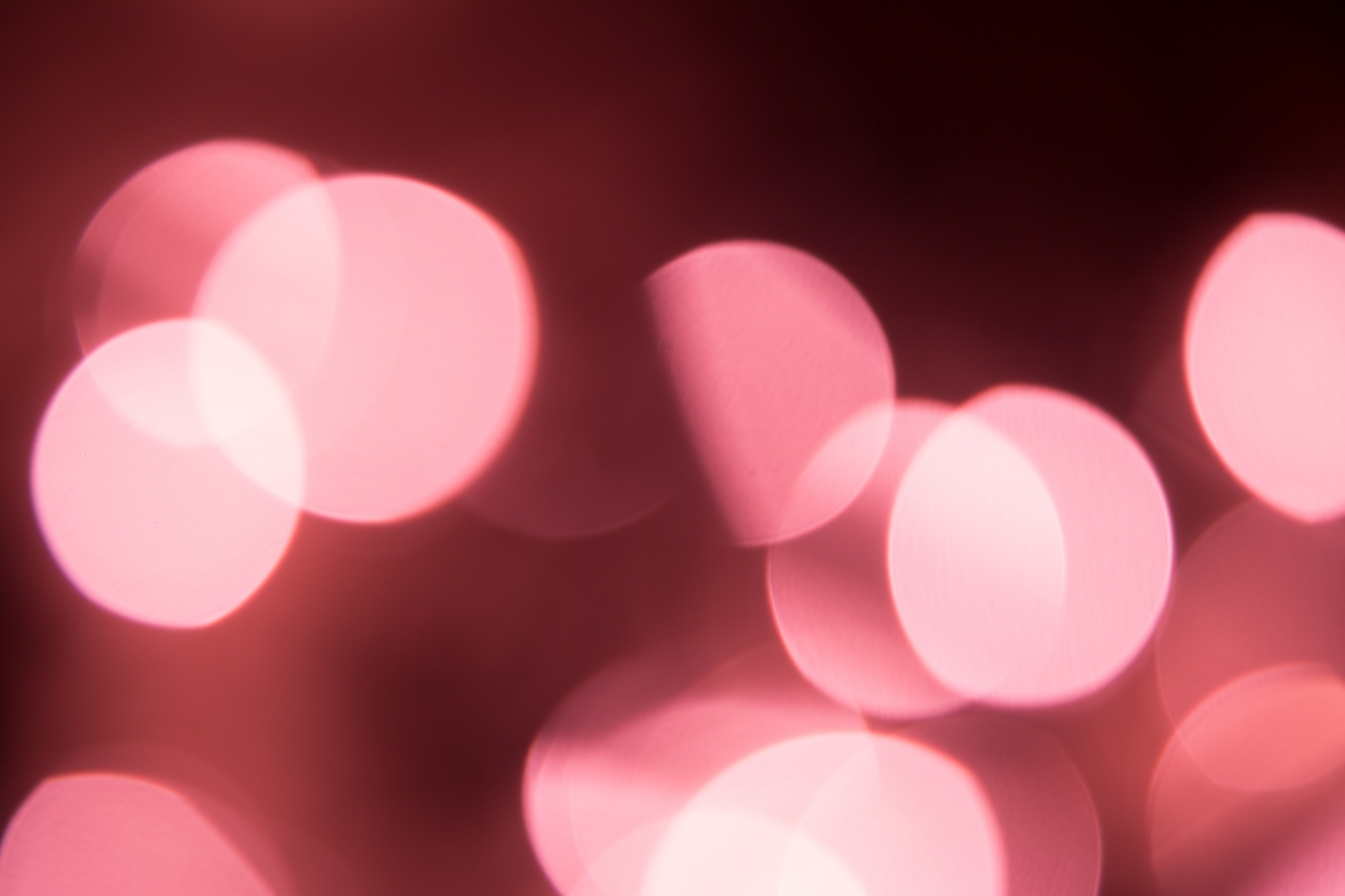 bokeh background red free photo