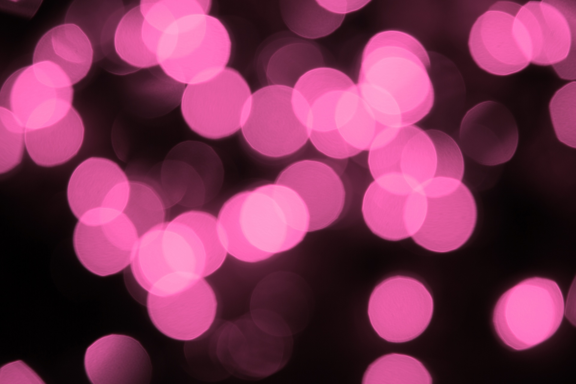 bokeh background red free photo