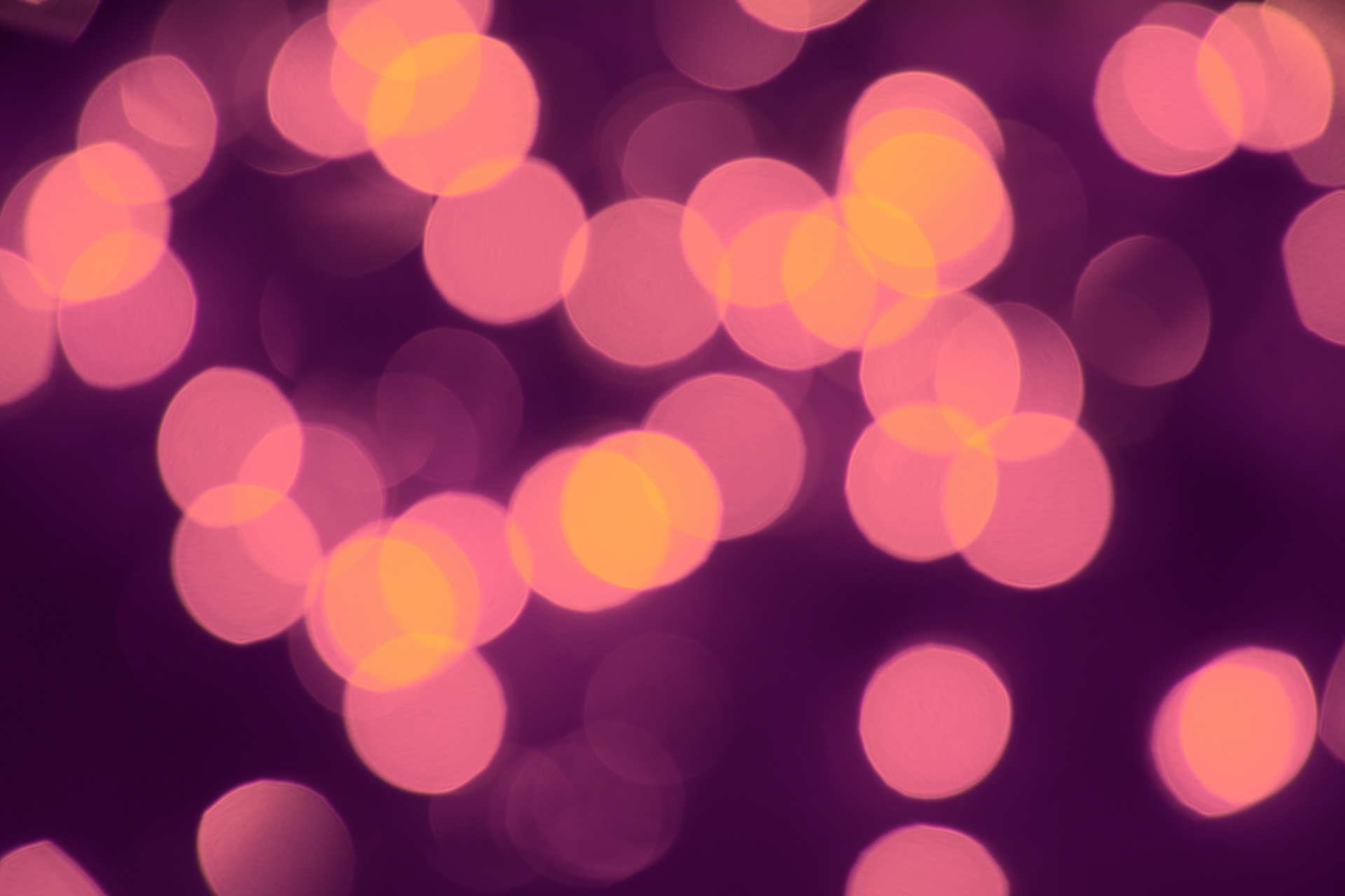 bokeh background red free photo