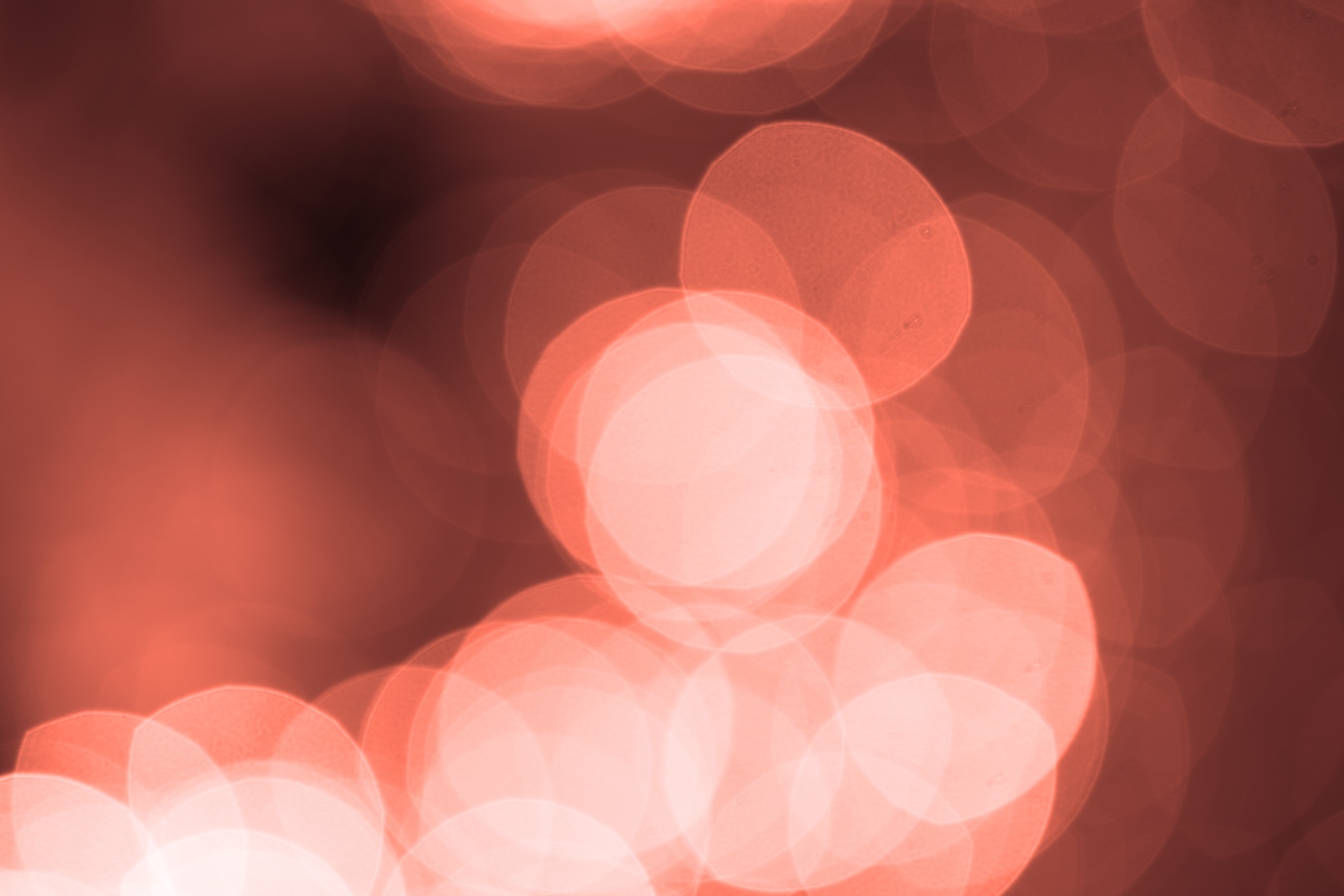 bokeh background red free photo