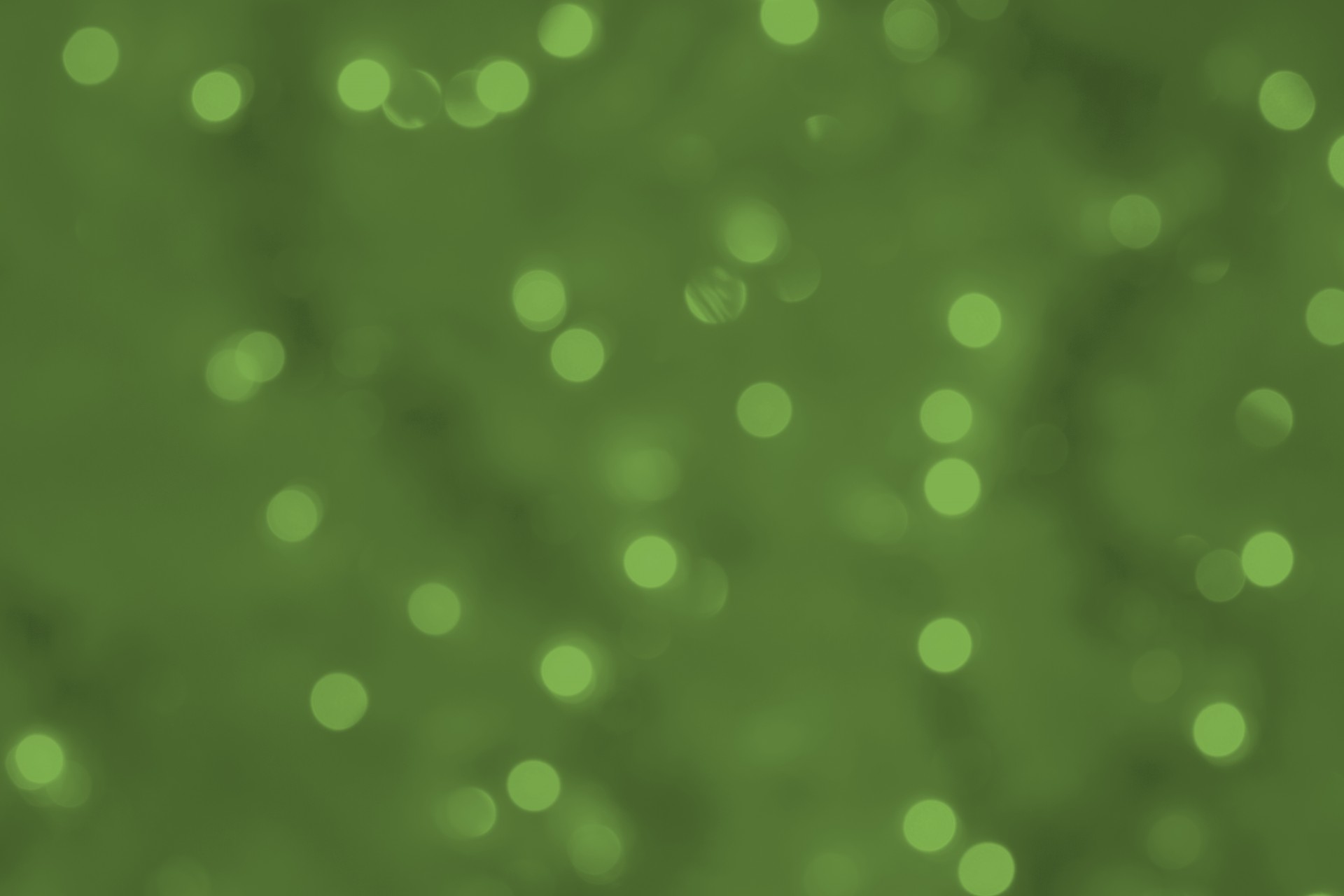 bokeh background green free photo