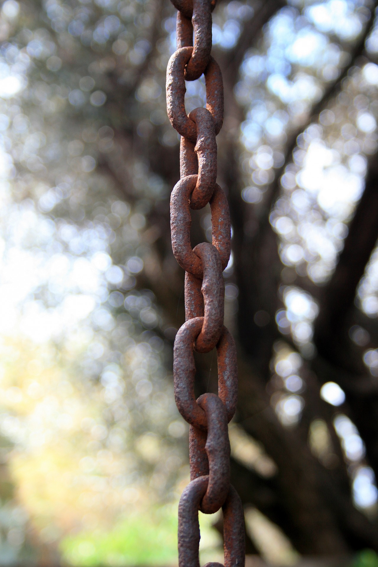 Chains that rust фото 108