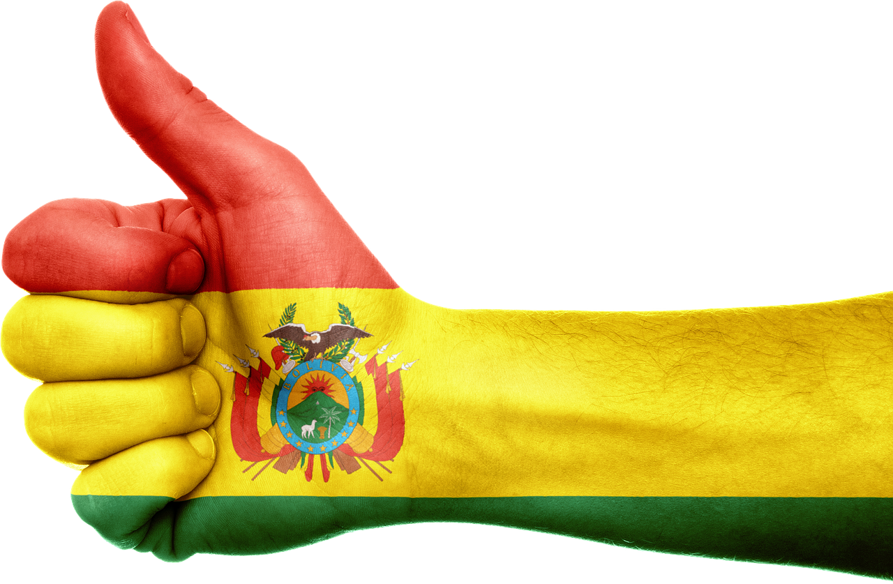 bolivia flag hand free photo