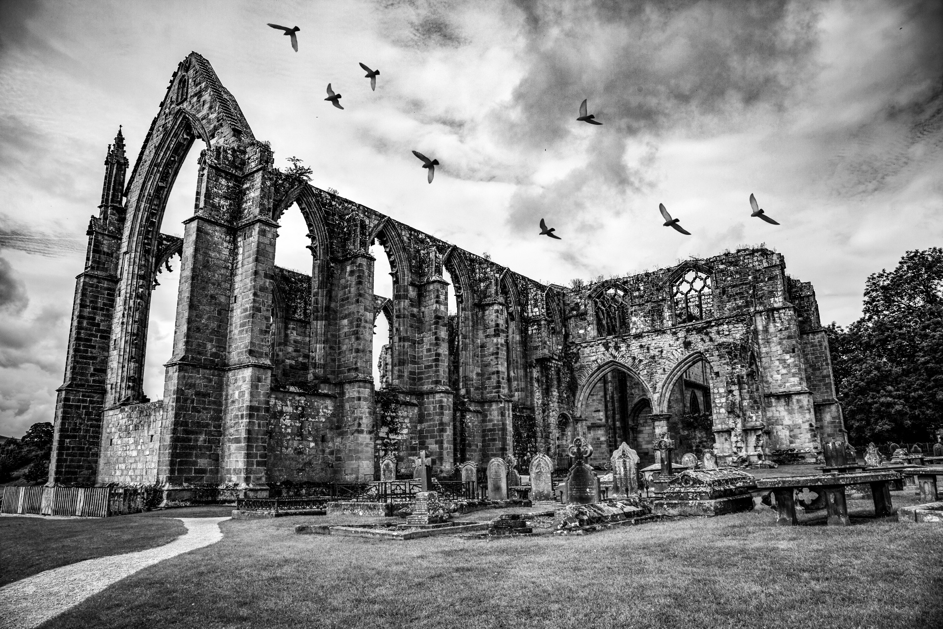 bolton abbey uk free photo