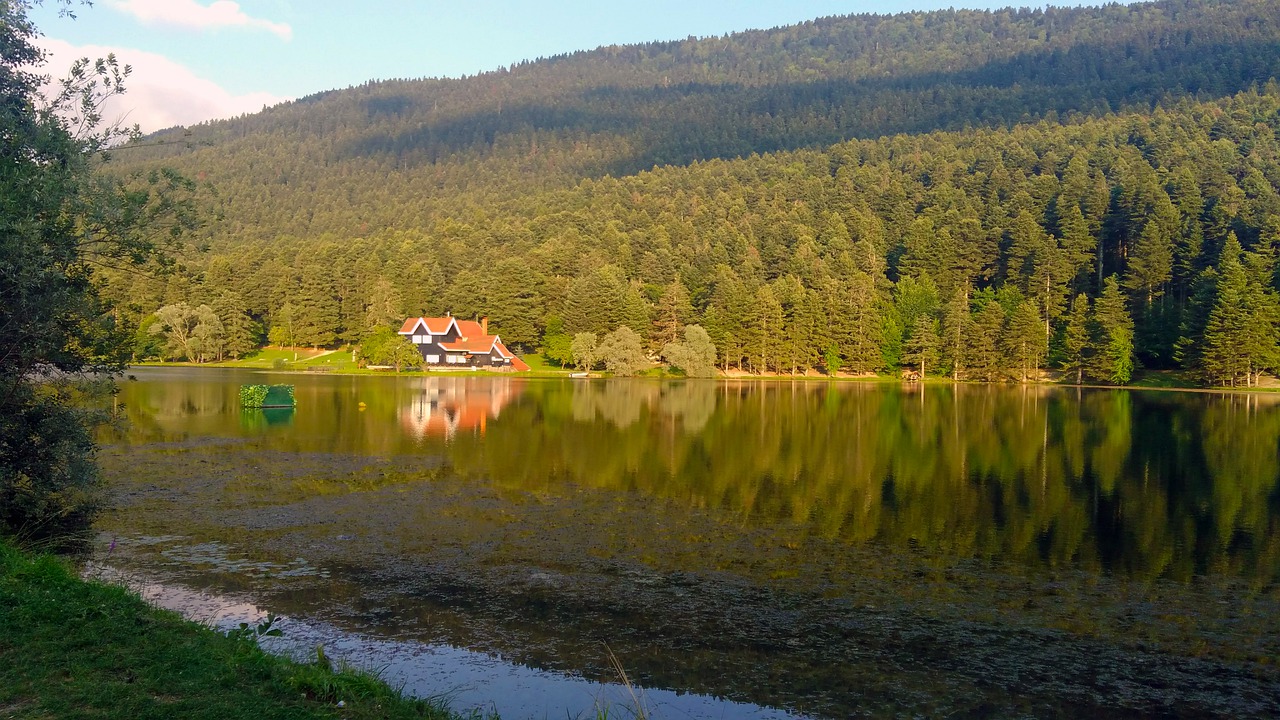 bolu  pond  nature free photo