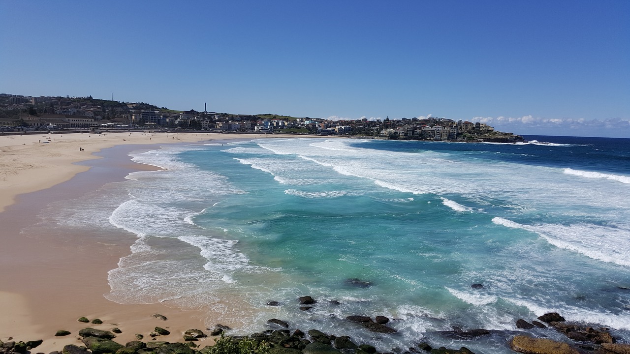 bondi beach sydney nsw free photo