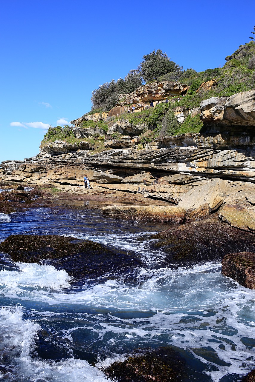 bondi beach cliff sea free photo