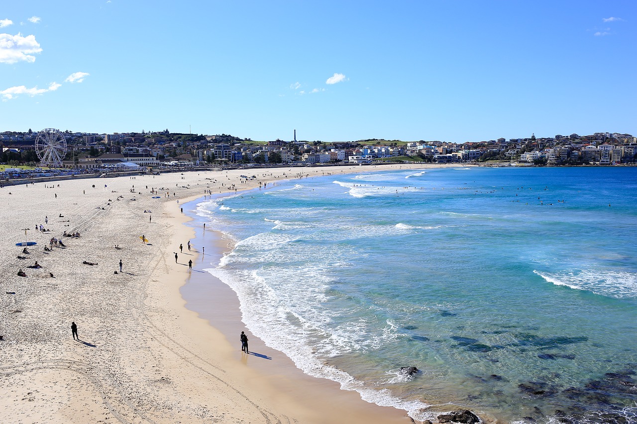 bondi beach beach australia free photo