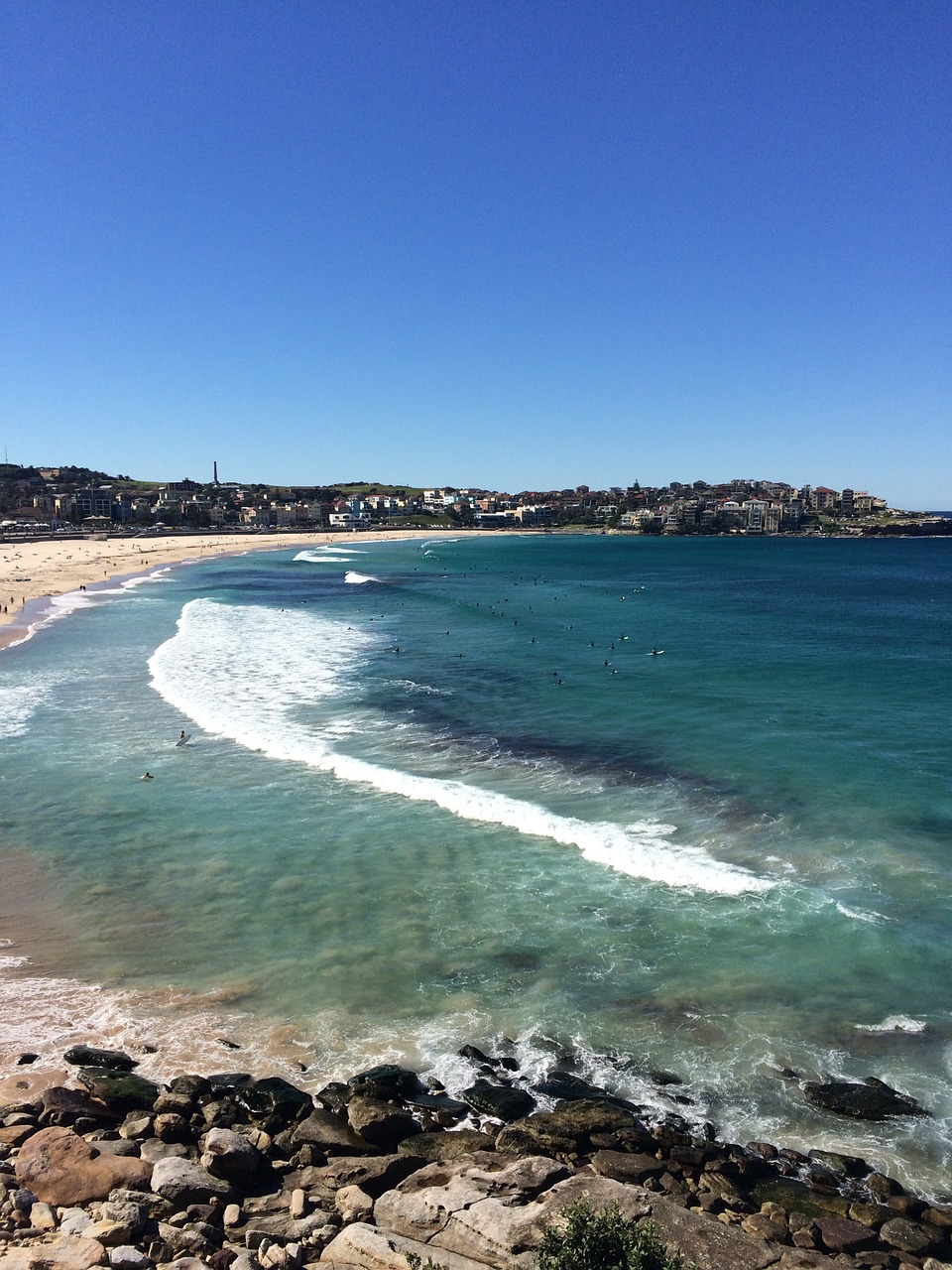 bondi beach australia beach free photo