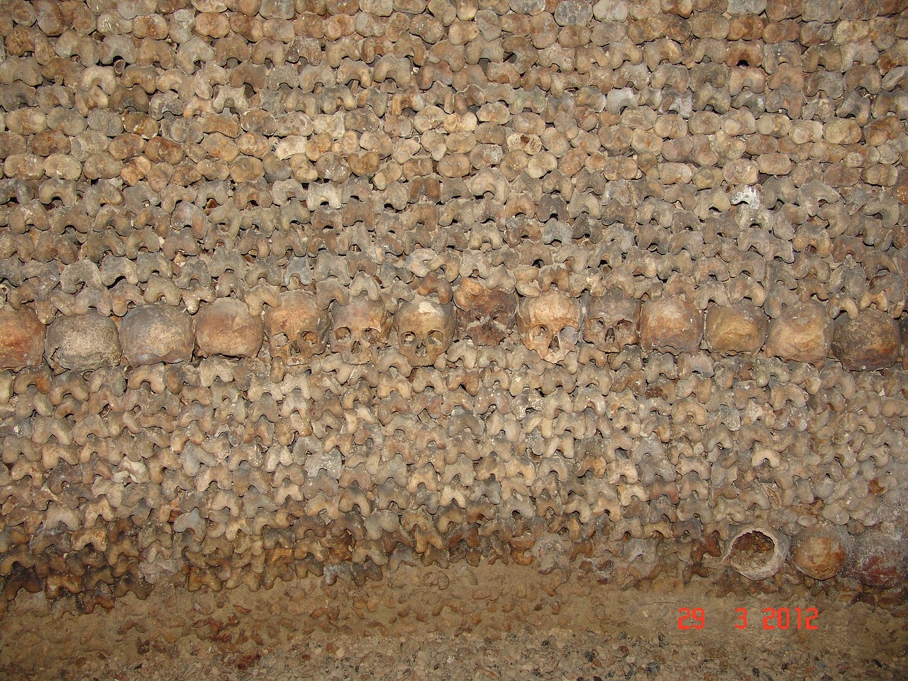 bones skull catacomb free photo