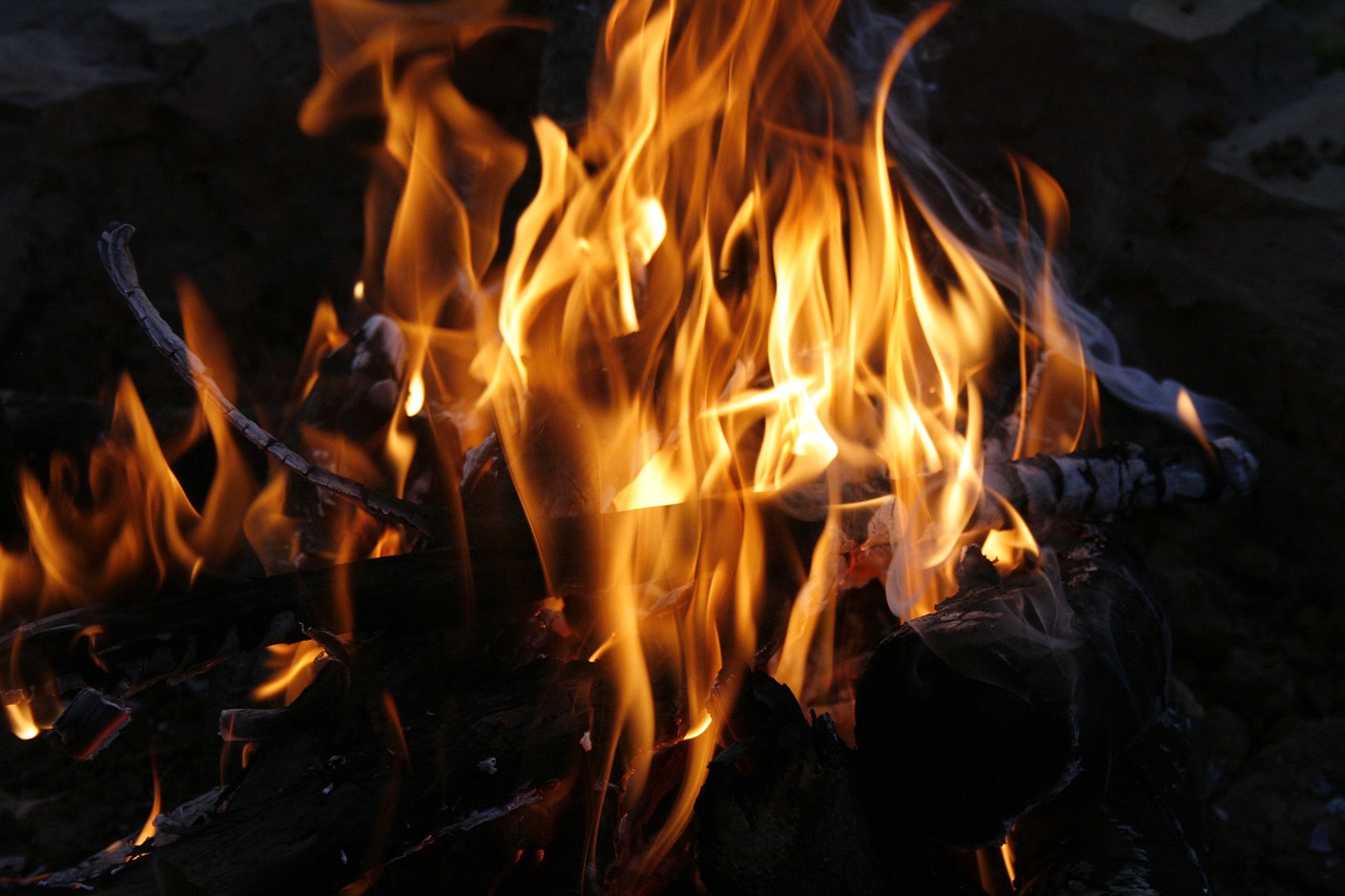 bonfire flames wood free photo
