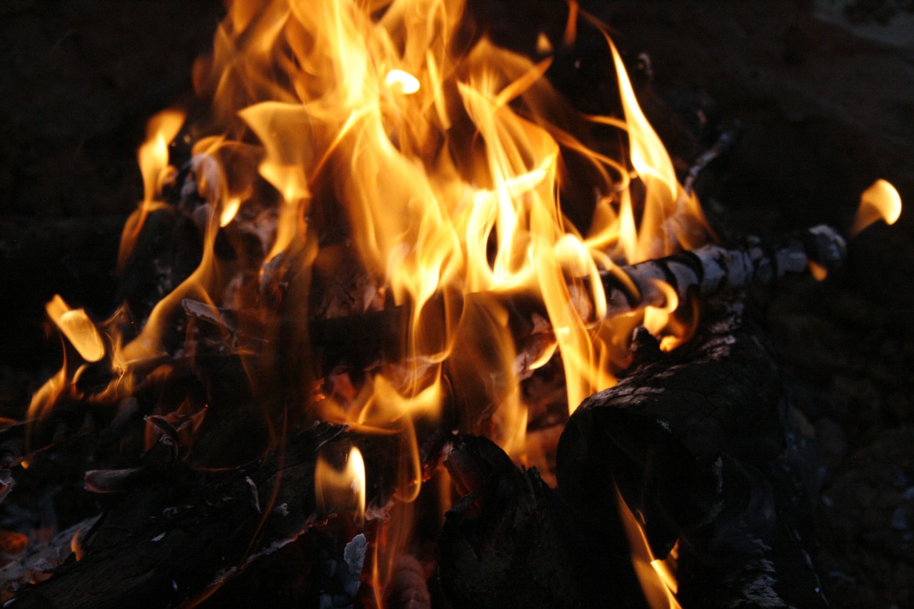 bonfire flames wood free photo