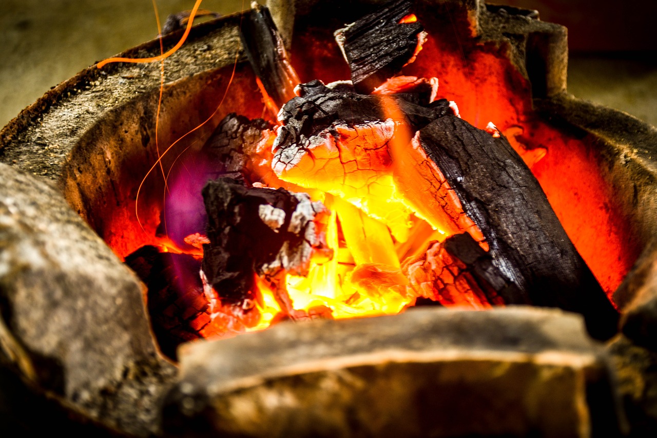 bonfire heat grilled fish free photo