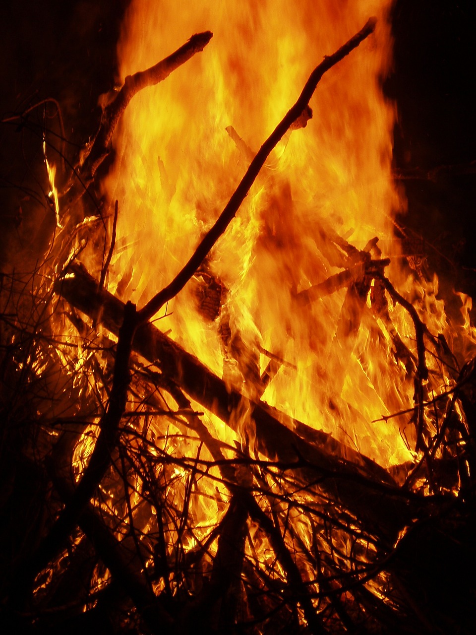 bonfire fire heat free photo