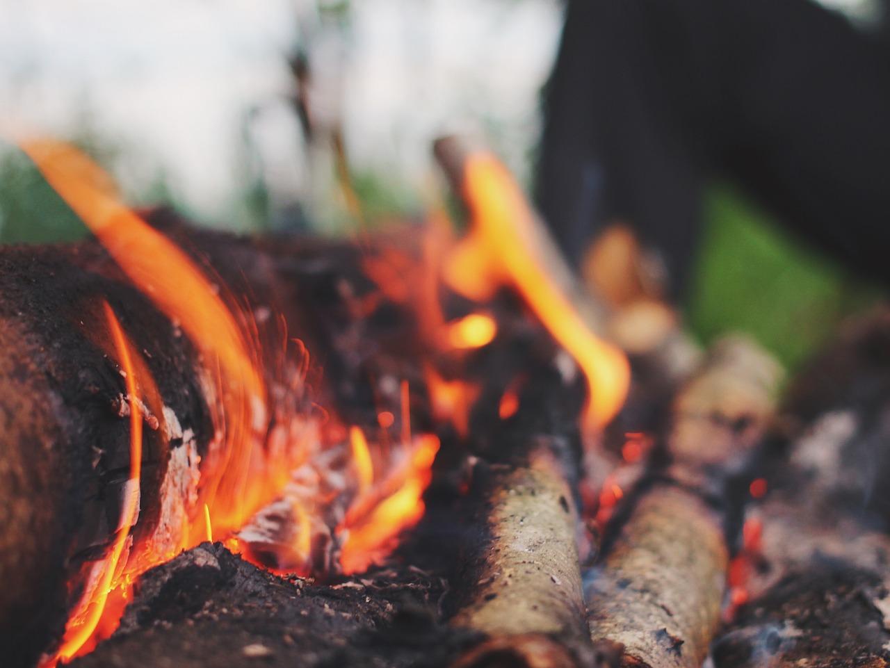 bonfire flames wood free photo