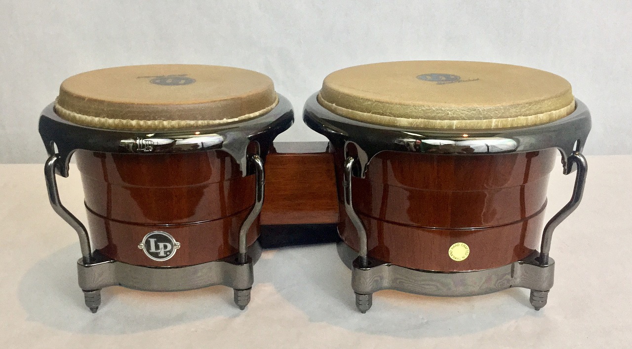 bongo drum lp wood free photo