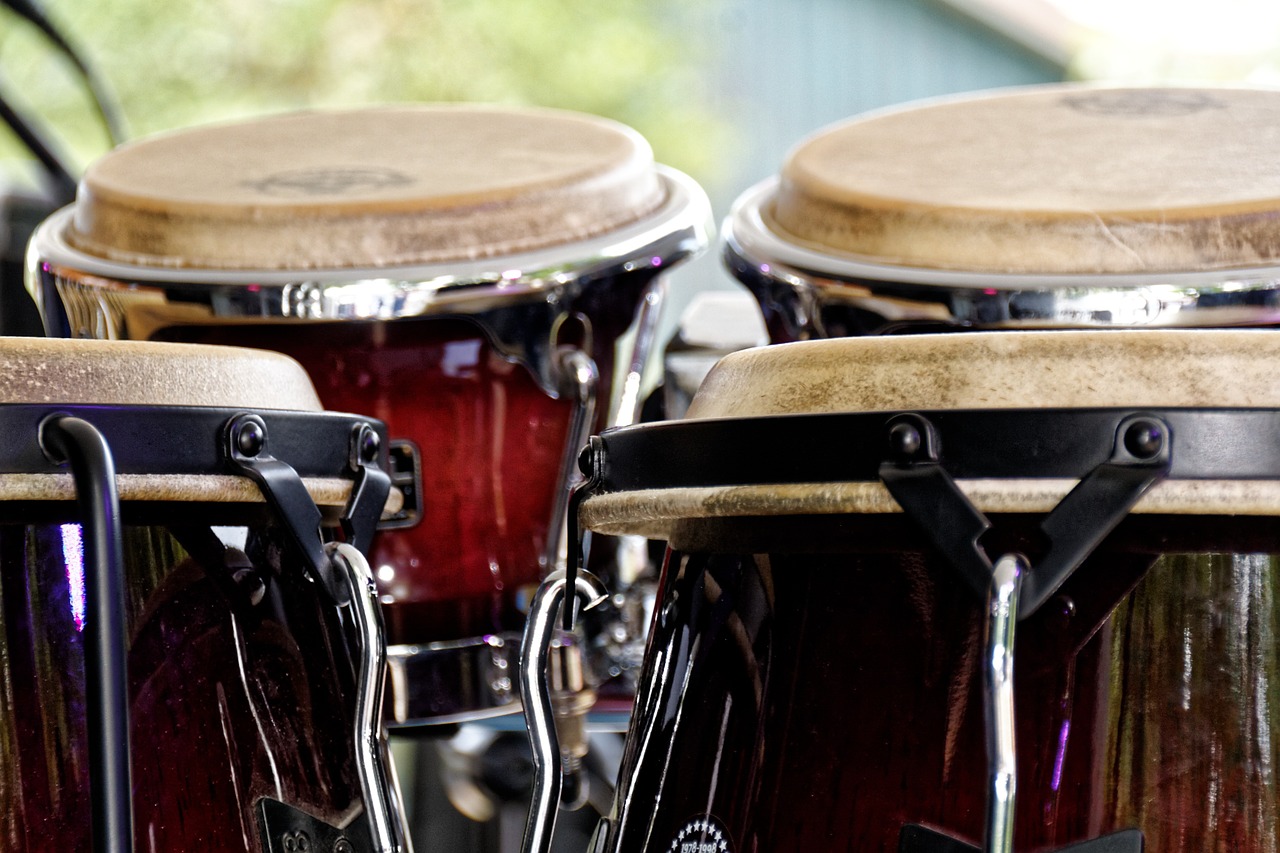 bongos drums instrument free photo
