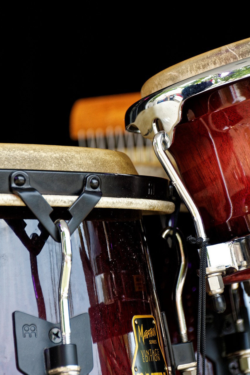 bongos drums instrument free photo