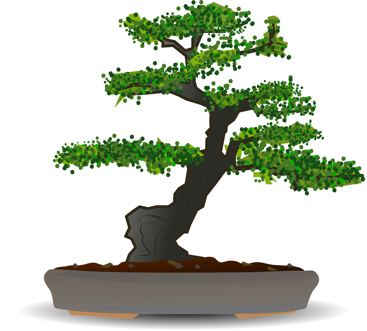 bonsai tree dwarf tree free photo