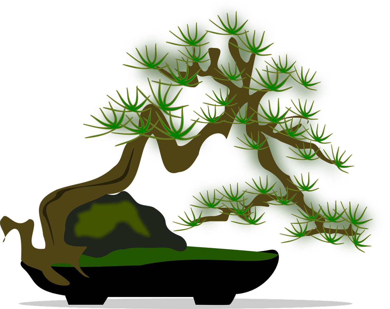 bonsai clip art flora free photo