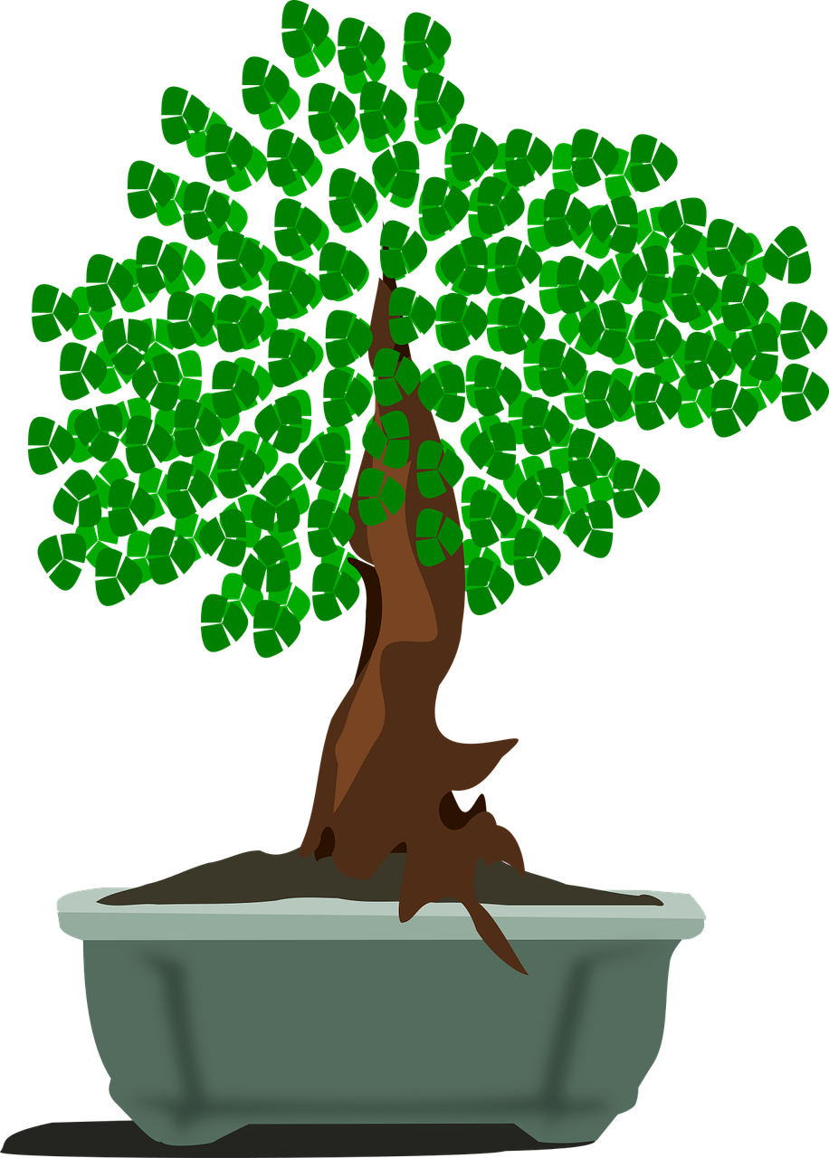 bonsai clip art flora free photo