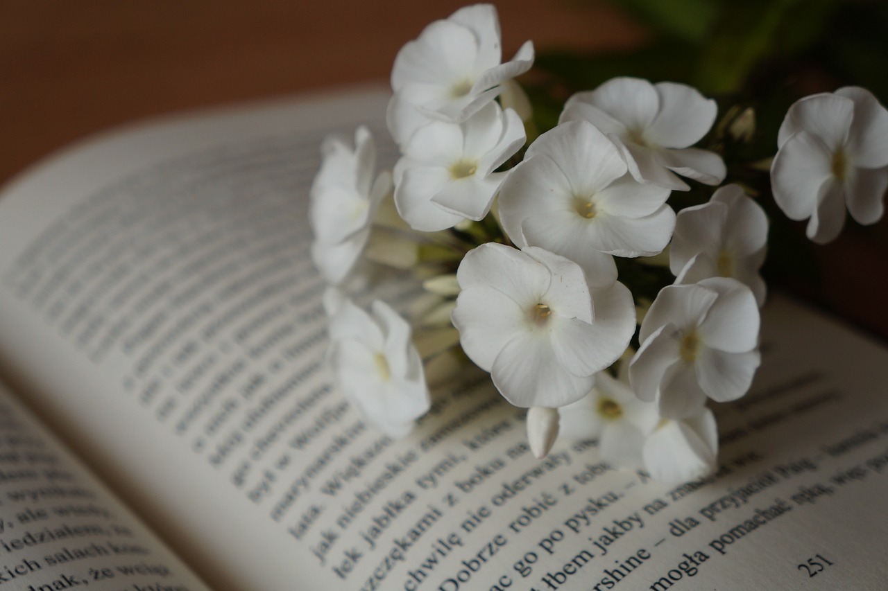 book white flowers free photo