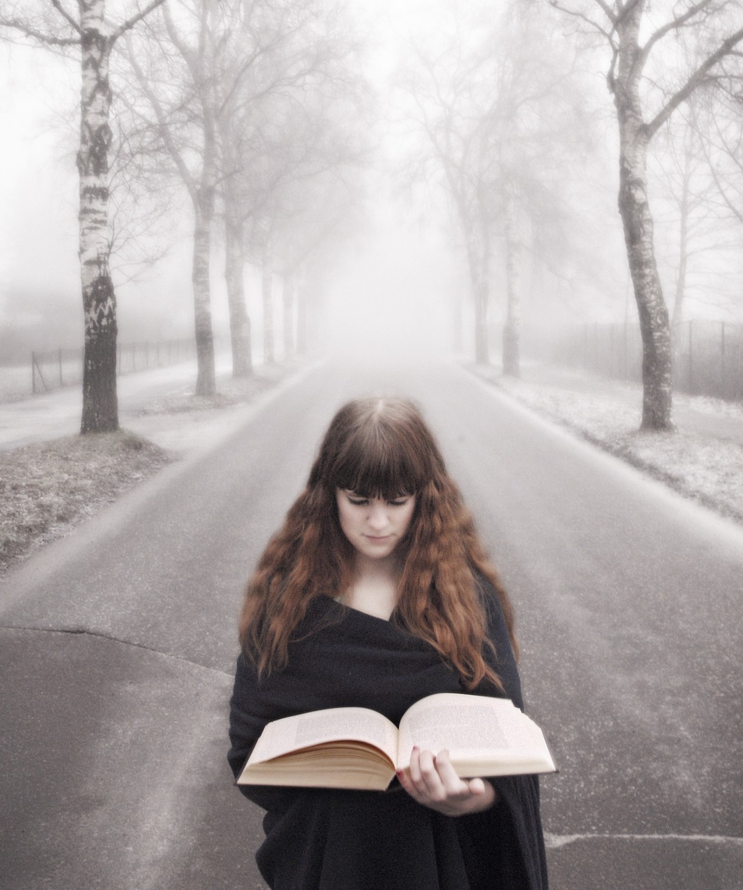 book fog girl free photo