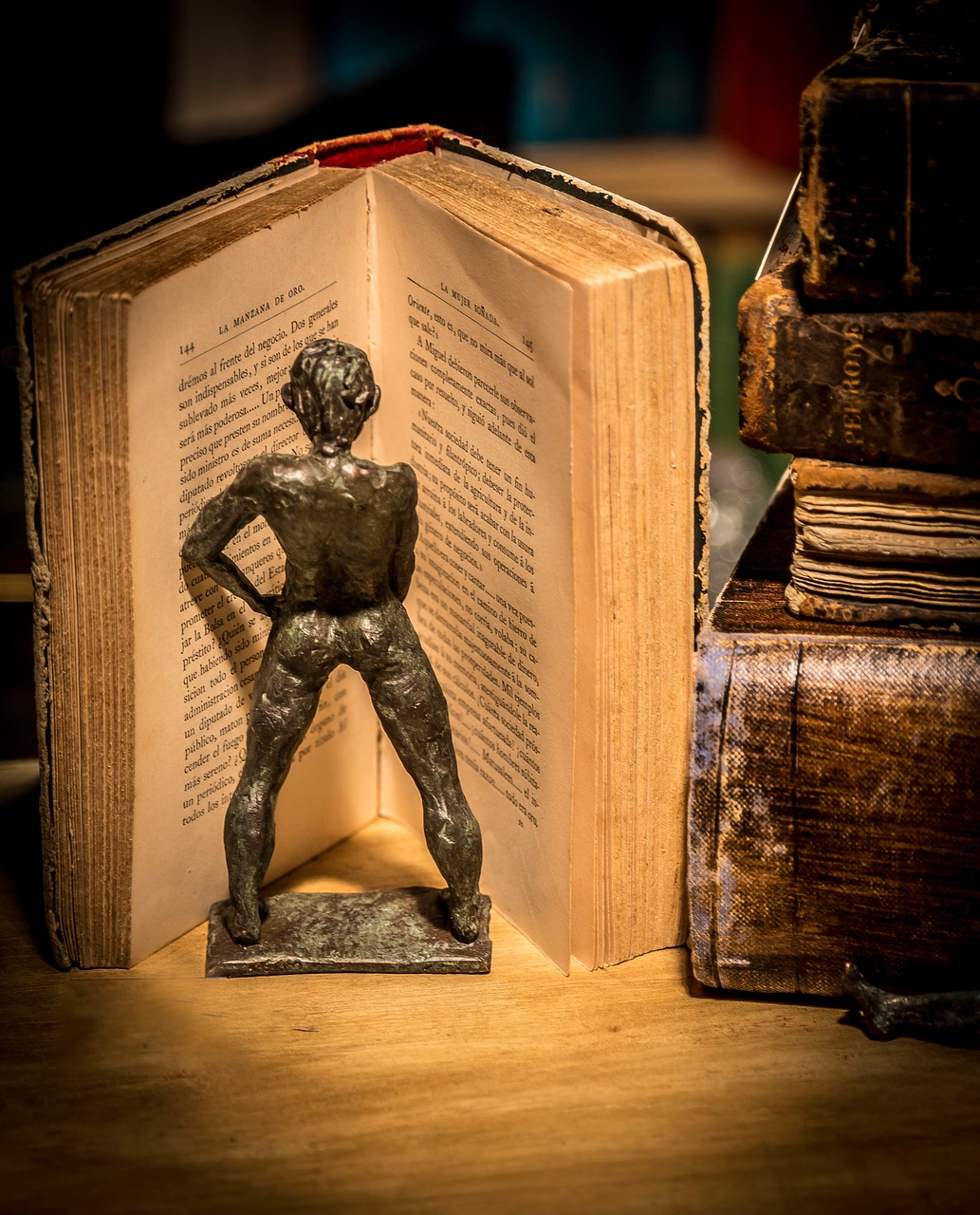 book antique library free photo