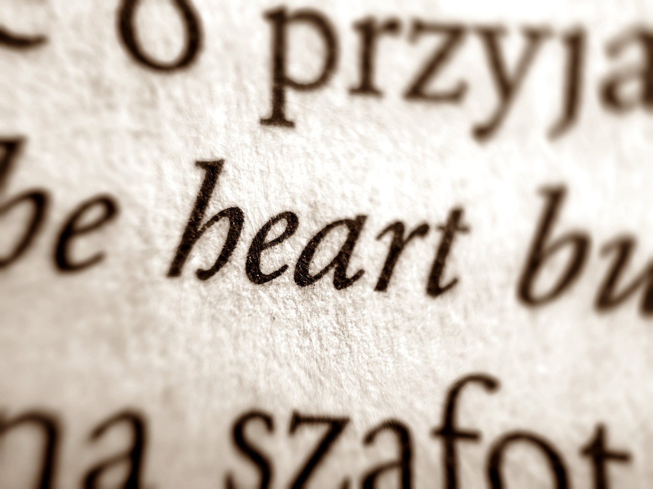 book word heart free photo