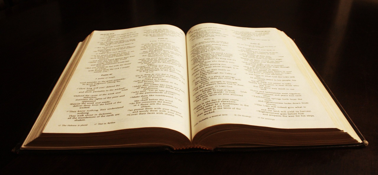 book bible text free photo