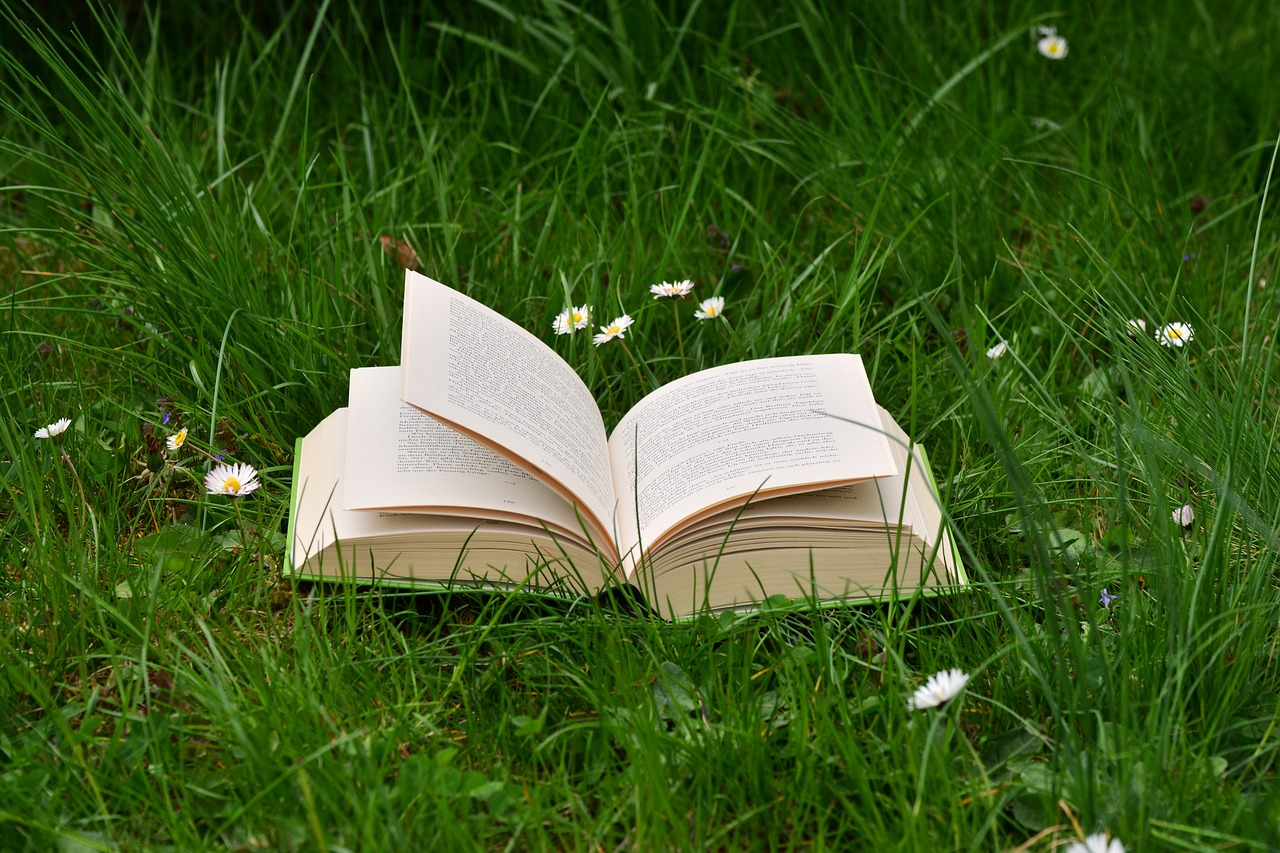 book meadow read relax free photo